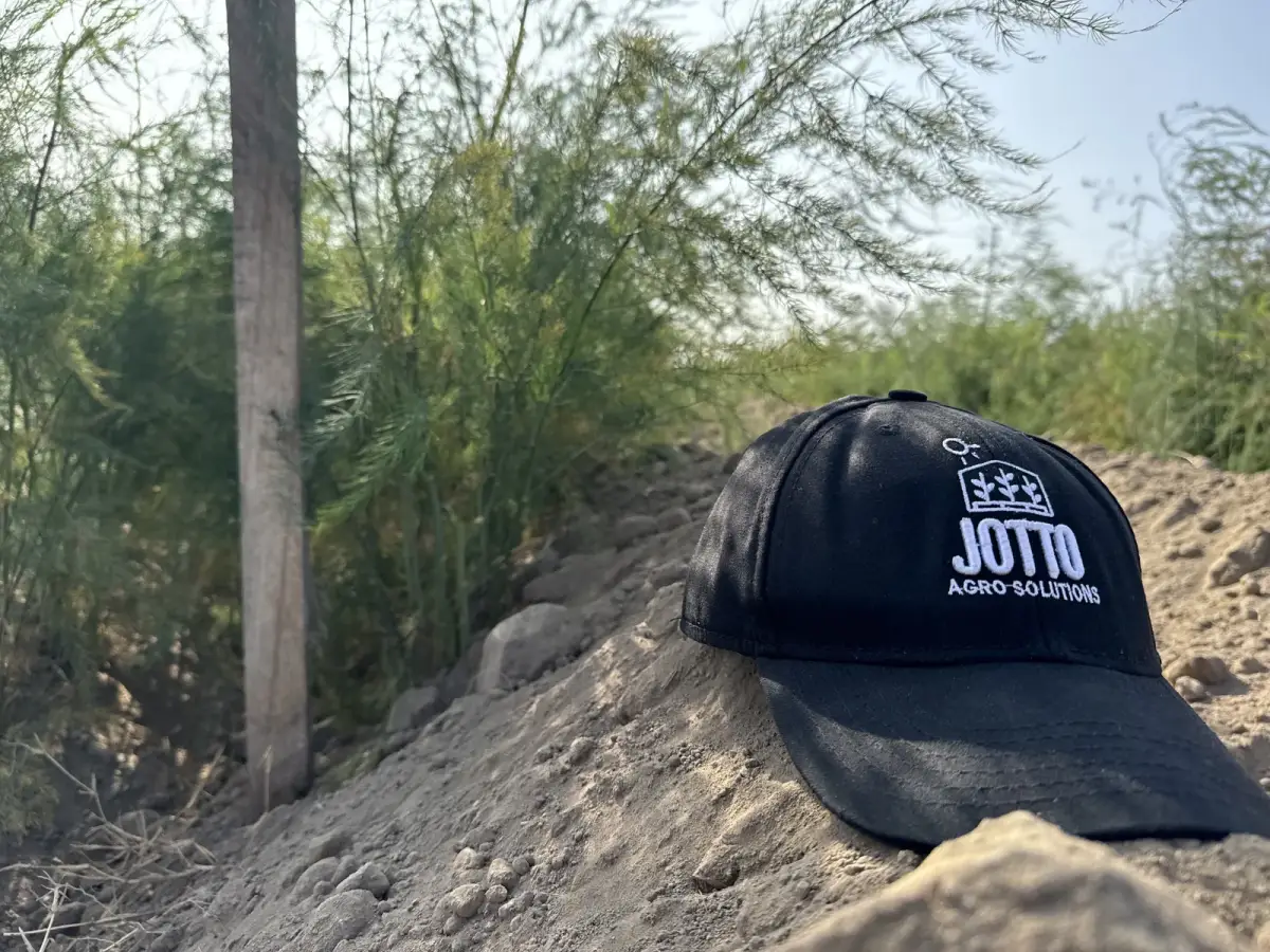 Gorra de Jotto Agro Solutions en un campo de espárragos